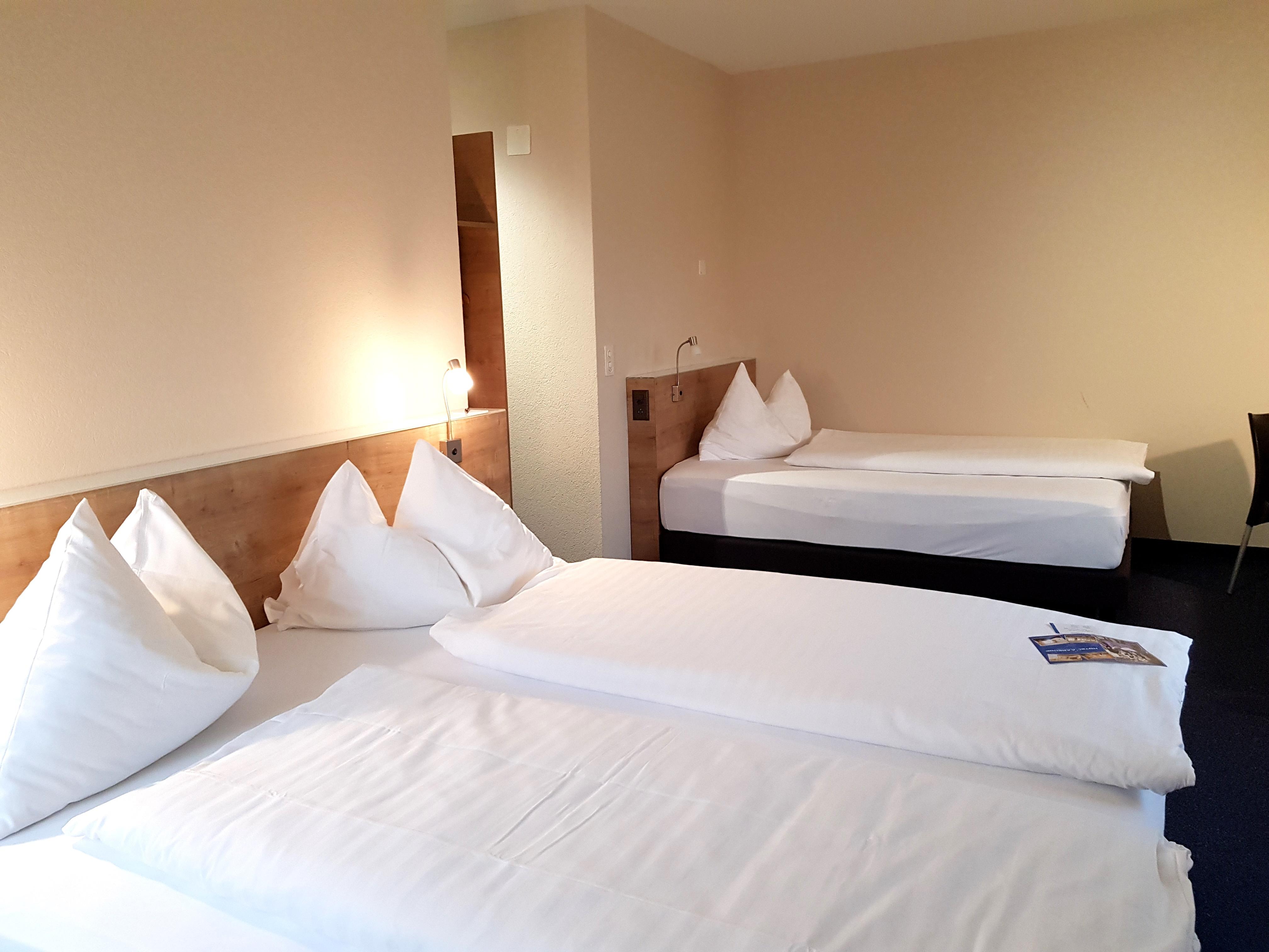 Aarehof Swiss Quality Hotel Wildegg Екстериор снимка